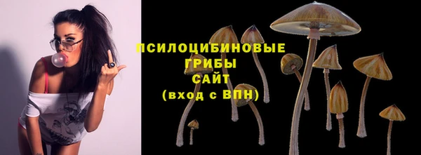 spice Баксан